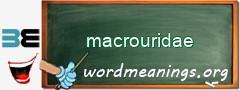 WordMeaning blackboard for macrouridae